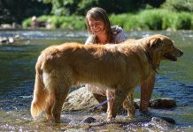 The Benefits of Pet Grooming on Your Health, Happiness, and Well-being || Grooming Pets