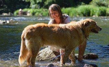 The Benefits of Pet Grooming on Your Health, Happiness, and Well-being || Grooming Pets