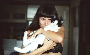 Can Cat Owners Prepare for a Mild Cat Allergy in the House? || Grooming Pets